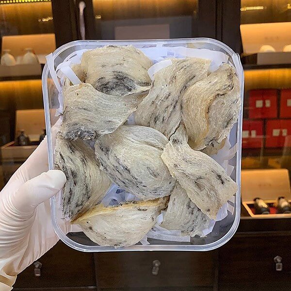 To Yen Tho Nha Trang Vip 725 To Yen Tho Nha Trang Vip 725