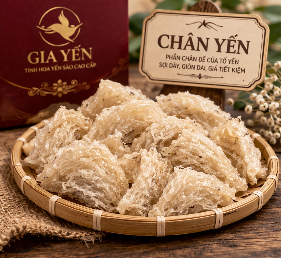 Chân yến là phần đế hoặc phần chân của tổ yến, nơi giúp tổ bám chắc vào bề mặt làm tổ.